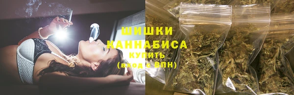 индика Горно-Алтайск