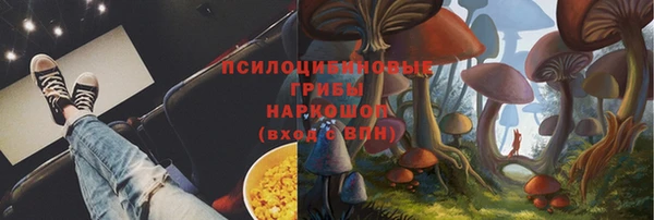 скорость Горнозаводск