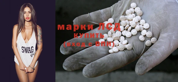 мдпв Ельня