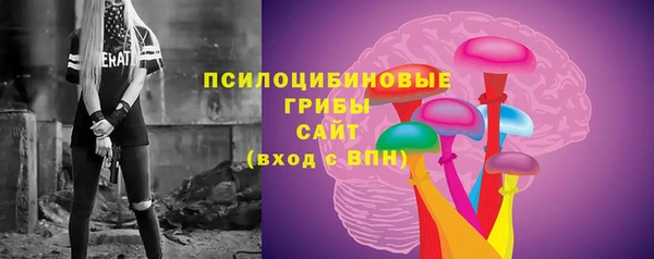 МДПВ Горняк