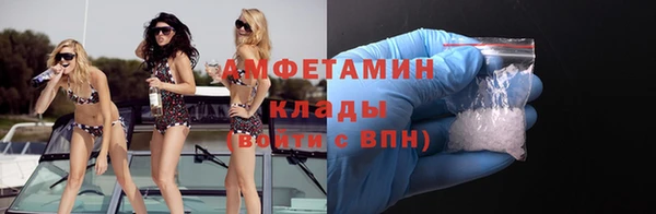 прущая мука Вяземский