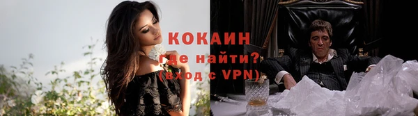 индика Горно-Алтайск