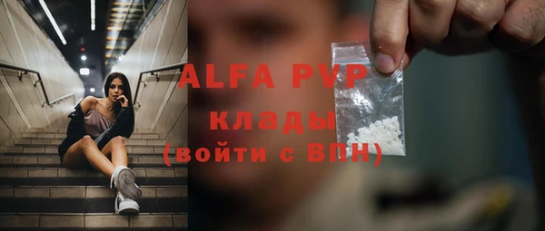 индика Горно-Алтайск