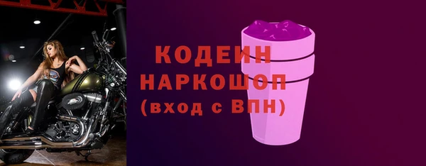 индика Горно-Алтайск