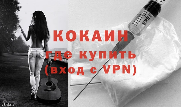 спайс Гусь-Хрустальный