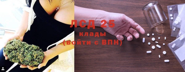 индика Горно-Алтайск
