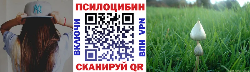 Псилоцибиновые грибы MAGIC MUSHROOMS Плавск
